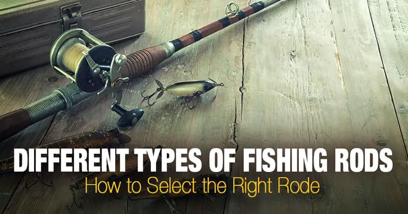 6 Different Types of Fishing Rods and Their Uses
