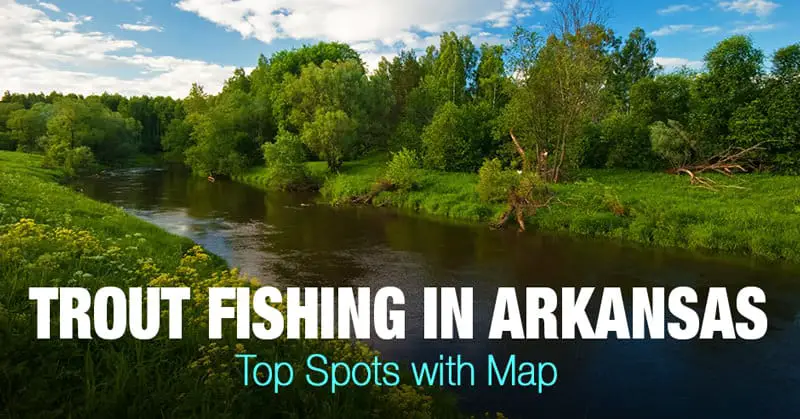 Trout Fishing in Arkansas (AR) - Top Spots with Map