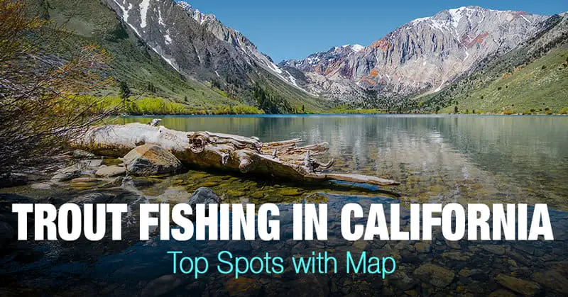 Trout Fishing in California - Top Spots with Map