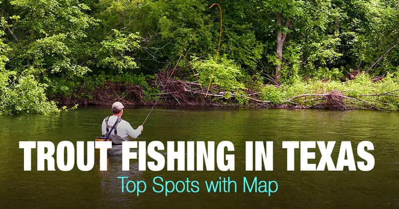 Trout Fishing in Texas - Top Spots with Map