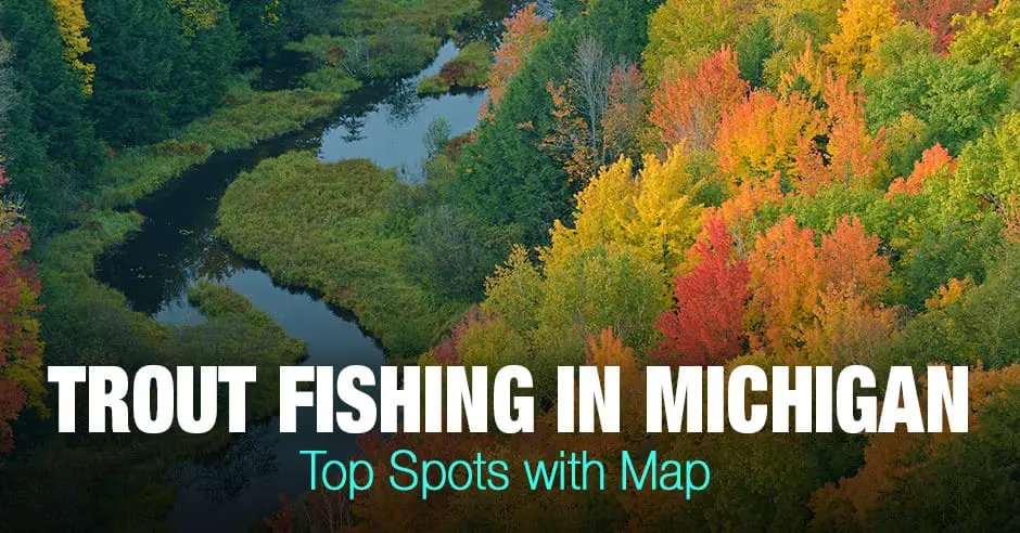 Trout Fishing in Michigan (MI) - Top Spots with Map