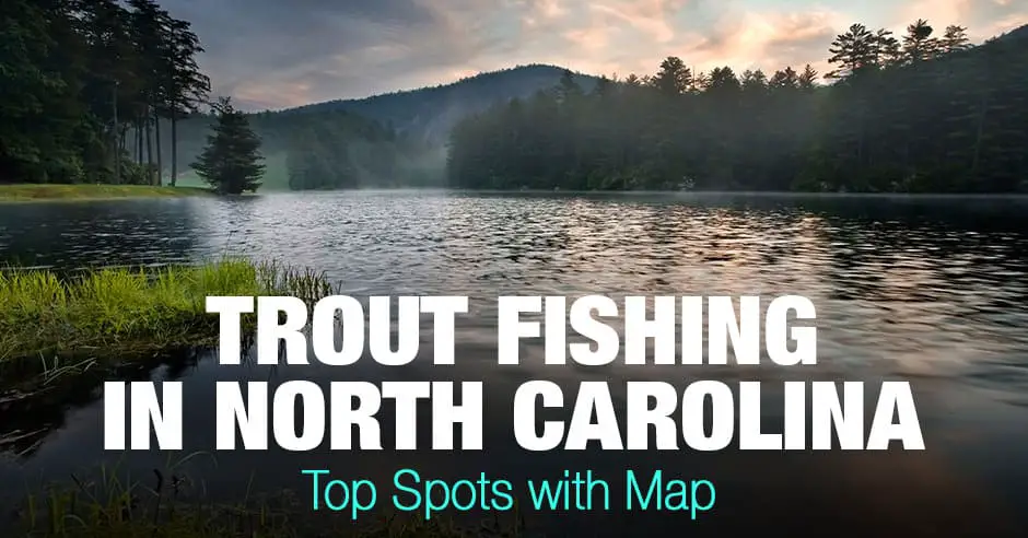 Trout Fishing in North Carolina (NC) - Top Spots with Map