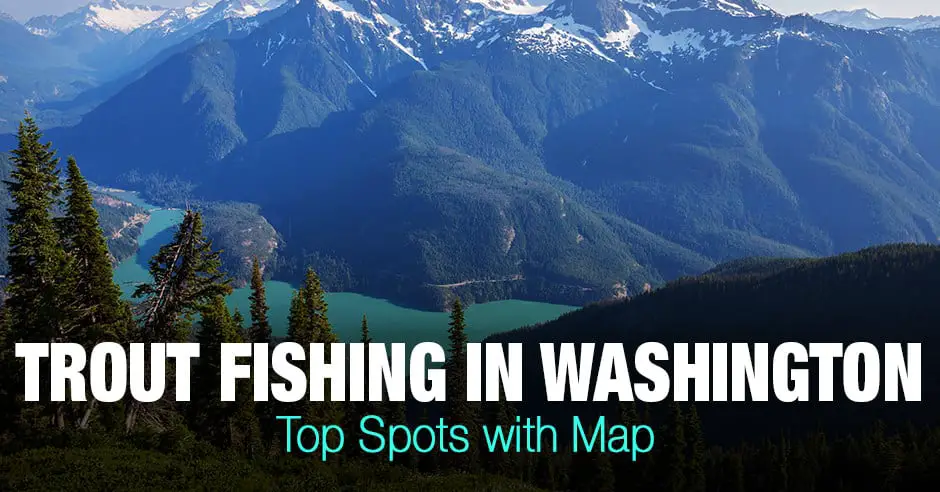 Trout Fishing in Washington (WA) - Top Spots with Map