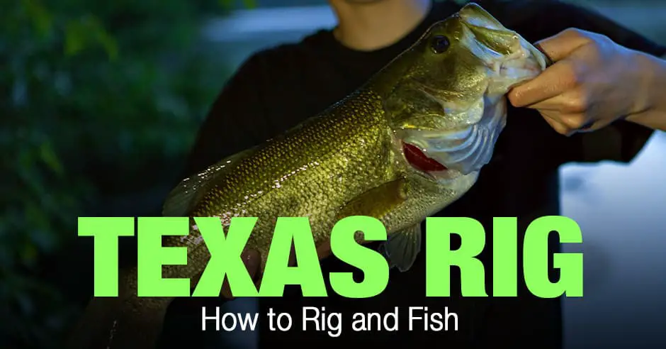Texas Rig Fishing: How to Rig and Fish - Outdoors Cult
