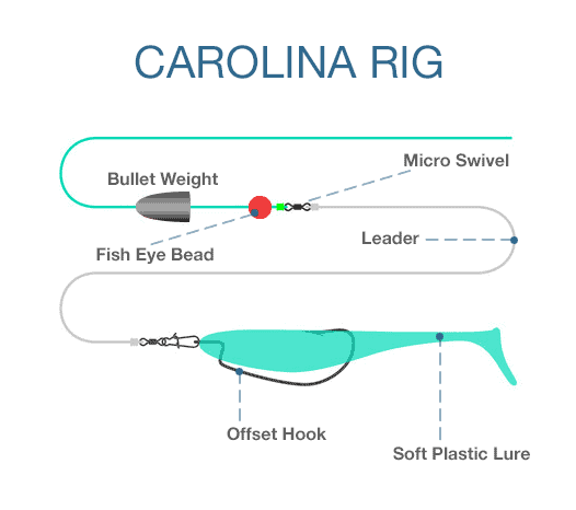 Carolina Rig Revival - In-Fisherman