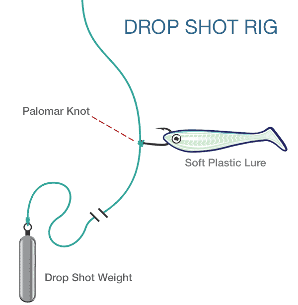 drop shot rig